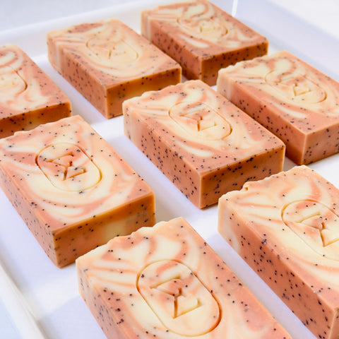 PARAÍSO • Exotic Tropical Fruits Exfoliant Soap Bar