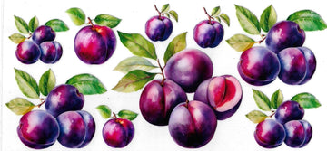 PLUMS • UV DTF Wrap