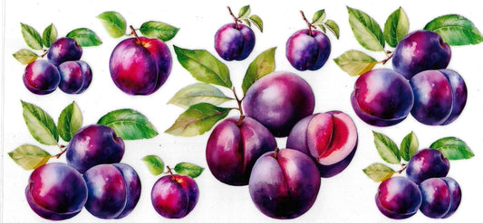PLUMS • UV DTF Wrap