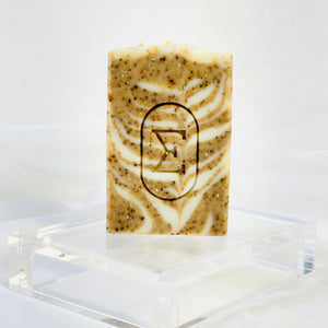 MULATA • Aloe Vera + Oak & Coffee Exfoliant | unscented Soap Bar