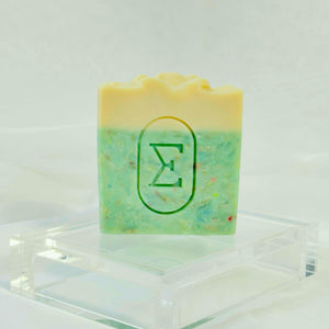 PONCHE TROPICAL • Teal Soap Bar